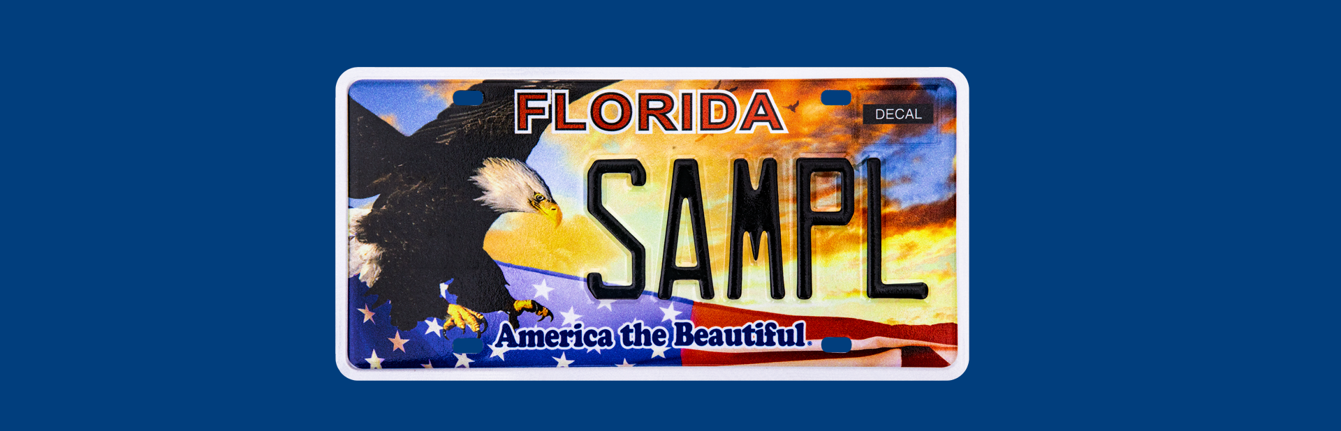 America The Beautiful License plate